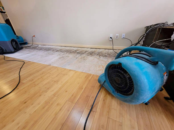 Professional Basement Flood Cleanup technician working in Henderson, MI